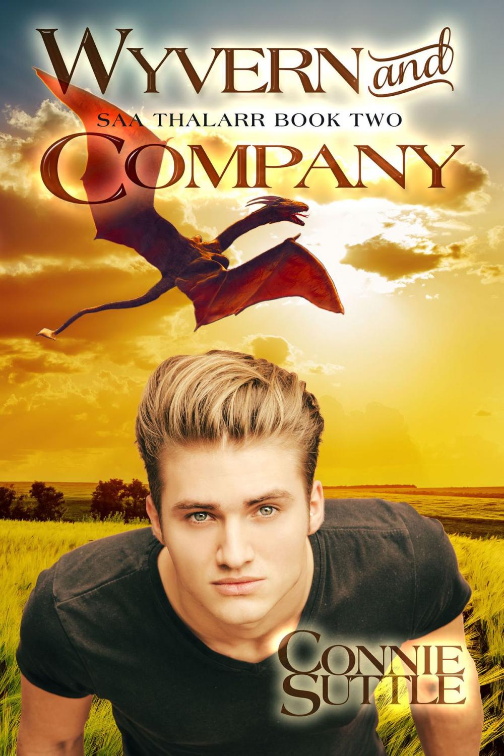 Big bigCover of Wyvern and Company