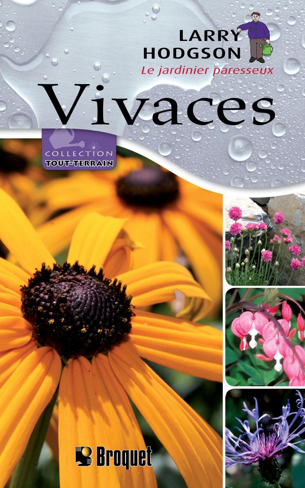 Big bigCover of Vivaces