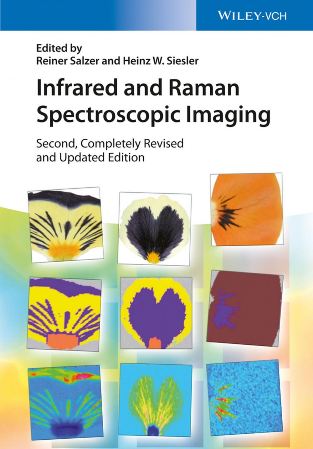 Big bigCover of Infrared and Raman Spectroscopic Imaging