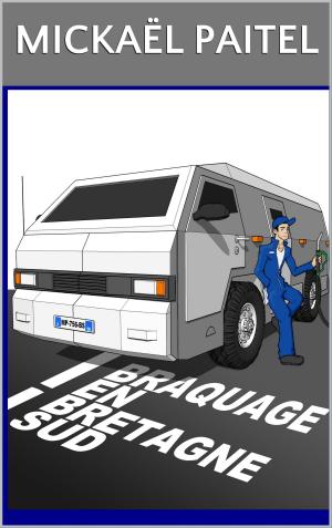 Cover of the book Braquage en Bretagne Sud by Susan Brassfield Cogan