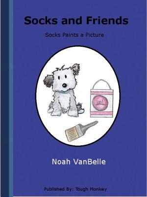 bigCover of the book Socks and Friends by 