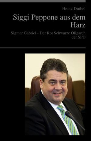 Book cover of Sigmar Gabriel - Der Rot Schwarze Oligarch der SPD