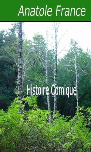 Cover of the book Histoire Comique by Maurice Leblanc