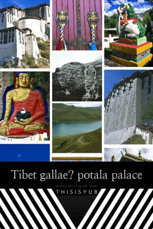 Cover of the book Tibetgallae by Dawn Downey