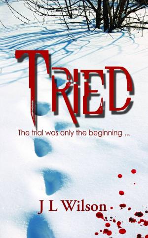 Cover of the book Tried by Leonie Gant