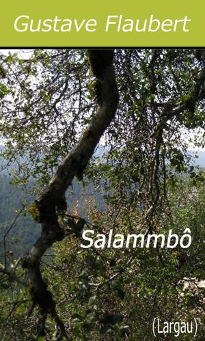 Cover of the book Salammbô by Paul Féval
