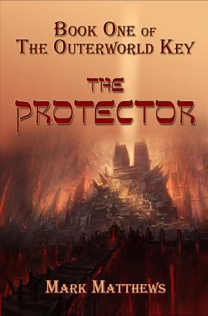 Cover of the book The Protector by Ainy Rainwater