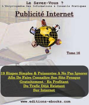Book cover of Publicité internet - 19 étapes afin de faire connaître son site presque gratuitement !