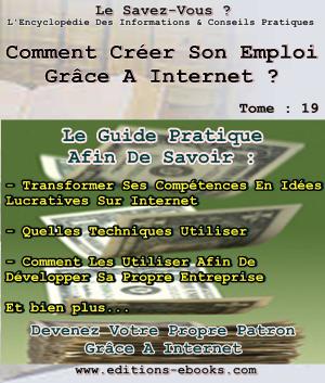 Cover of the book Comment créer son emploi à domicile grâce à internet ? by Chris James