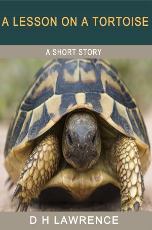 Book cover of A Lesson on a Tortoise