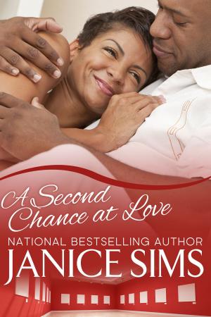 Cover of the book A Second Chance at Love by Janice Sims