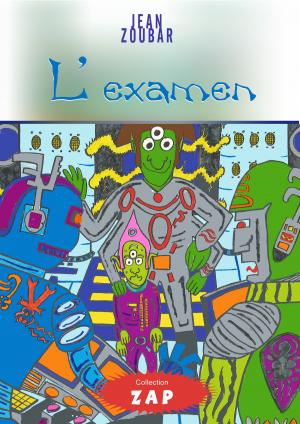 Book cover of L'examen