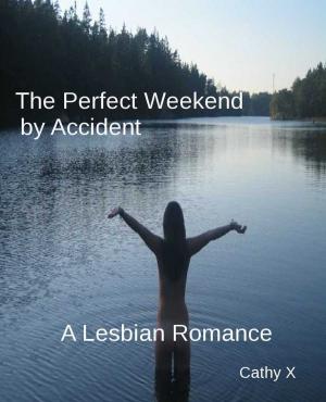 Book cover of The Perfect Weekend by Accident