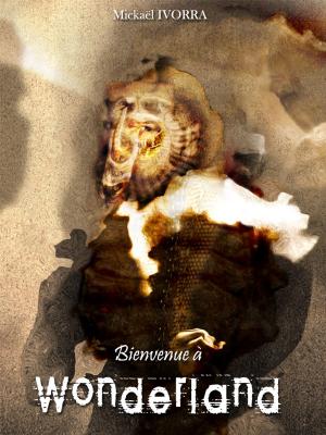 Cover of Bienvenue à Wonderland