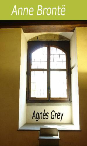 Cover of the book Agnès Grey by Paul Féval