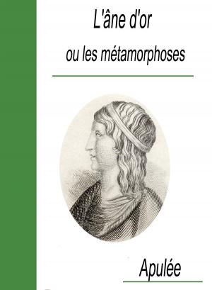 Cover of the book L'âne d'or ou les métamorphoses by Maurice Leblanc