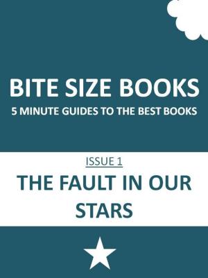 Book cover of Bite Size Books: The Fault in Our Stars