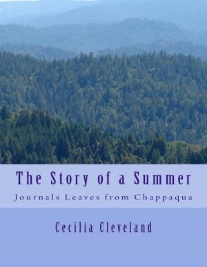 bigCover of the book The Story of a Summer by 