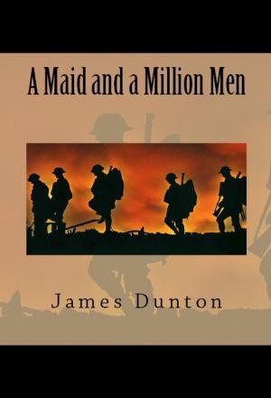 Book cover of A Maid and a Million Men