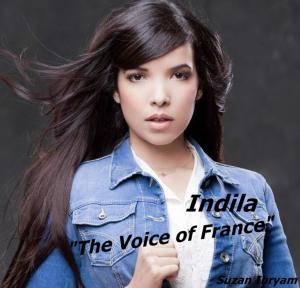 Cover of the book Indila by Steven O'Neill
