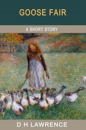 Cover of the book Goose Fair by John Rushton