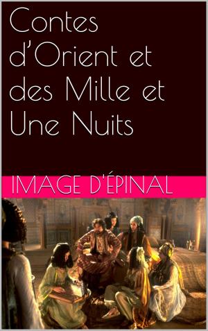 Cover of the book Contes d’Orient et des Mille et Une Nuits by Pierre Alexis Ponson du Terrail