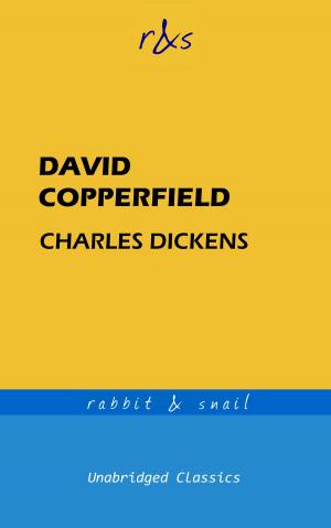 Cover of the book David Copperfield by Martin Hamburger