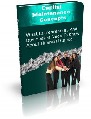 bigCover of the book Capital Maintenance Concepts by 