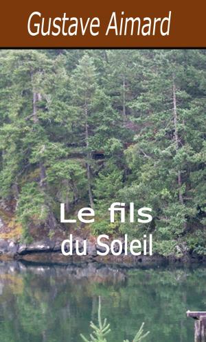Book cover of Le fils du Soleil