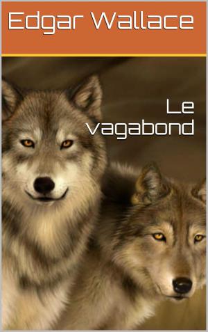 Cover of the book Le vagabond by Eugène Sue