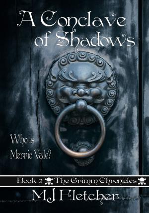 Cover of the book A Conclave of Shadows by Storm Grant