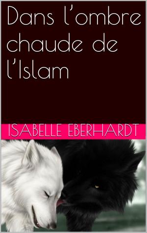 Cover of the book Dans l’ombre chaude de l’Islam by Anaïs comtesse de Bassanville
