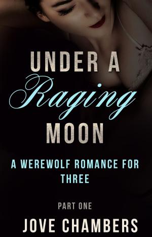 Cover of the book Under a Raging Moon: Part One by C. Osborne Rapley