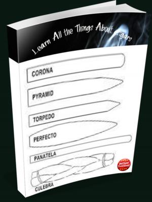 Cover of the book Learn All the Things About Cigars by INSTANT DOWNLOADS