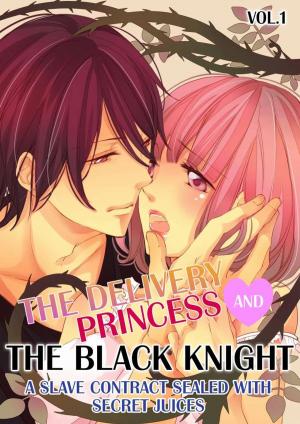 Book cover of The Delivery Princess and the Black Knight Vol.1 (TL Manga)