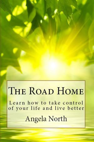 Cover of the book The Road Home by Mike Jespersen, Andre Noel Potvin