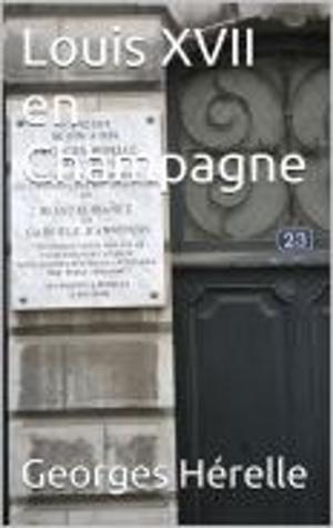 Cover of the book Louis XVII en Champagne by Sébastien Faure
