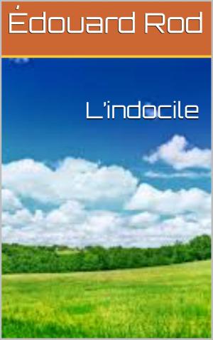 Cover of the book L’indocile by LYA