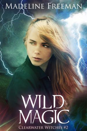 Cover of the book Wild Magic by A.A. GORDON