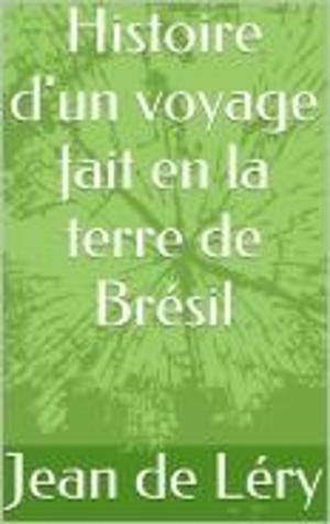 Cover of the book Histoire d'un voyage faict en la terre de Brésil by Edgar Allan Poe