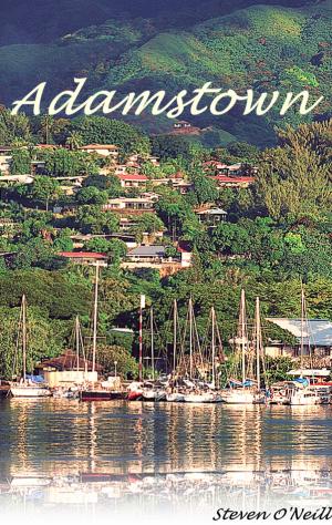 Cover of the book Adamstown by Steven O'Neill