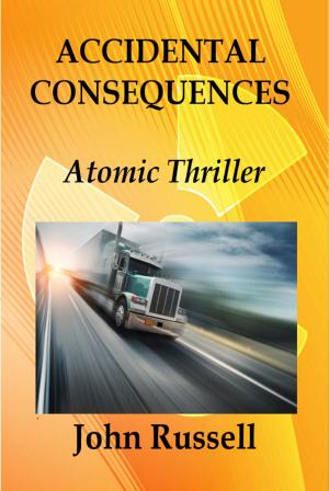Cover of the book Accidental Consequences by A.J. Sendall