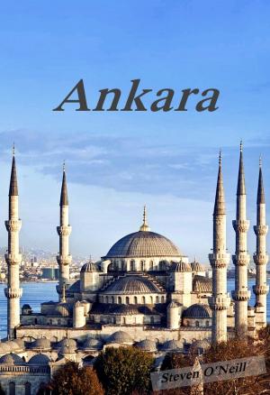 Cover of the book Ankara by Suzan Ibryam