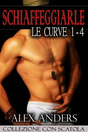 Cover of the book Schiaffeggiarle le Curve 1-4 by Régis BATREL