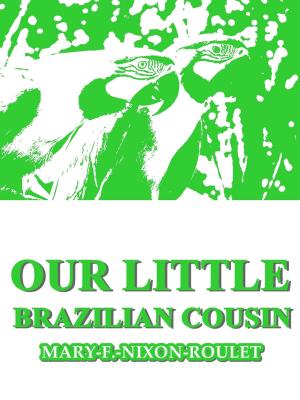 Book cover of Our Little Brazilian Cousin