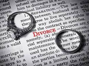 Cover of the book Everything You’ll Need to Know Vol.48 Divorce by Digital World inc