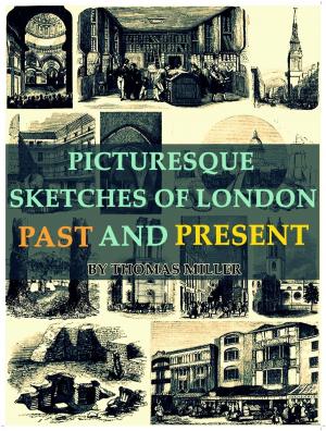 Book cover of Picturesque Sketches of London, Past and Present