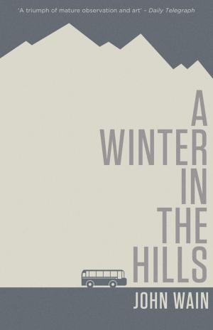 Book cover of A Winter in the Hills
