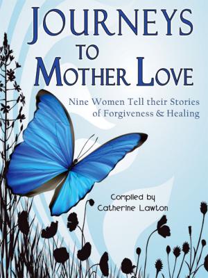 Cover of Journeys to Mother Love