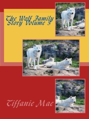 Book cover of The Wolf Family Story Volume 3